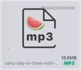 mp3-compressor-test-2 圖像轉換器