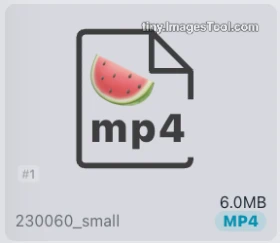 mp4-compressor-test-1 圖像轉換器